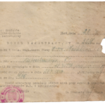 Dowód rejestracyjny powożącego Firma Pogrzebowa Maślakiewicz Łódź